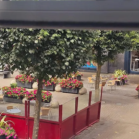 The Quay * 韦克斯福德